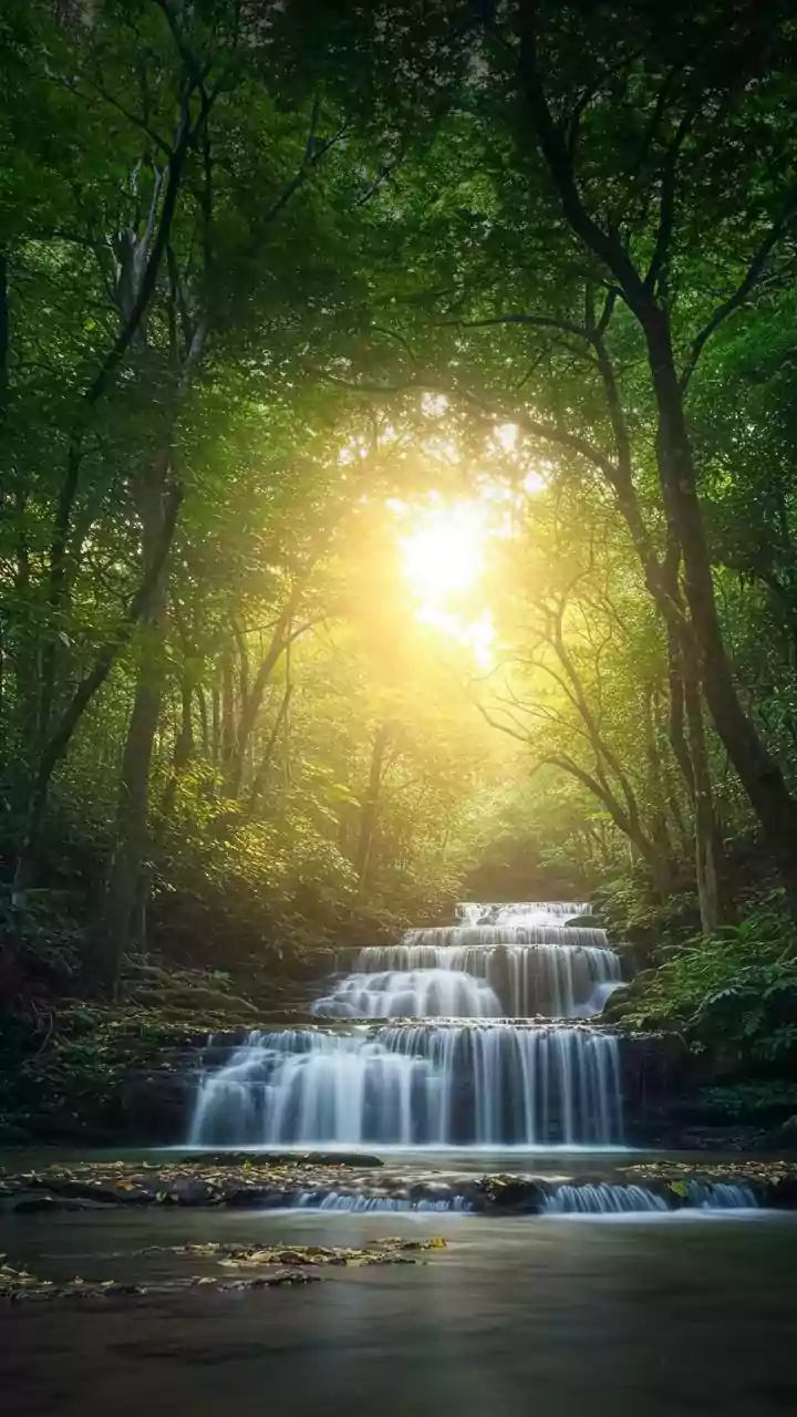 Discover Your Inner Nature: Waterfall, Fire, or Forest Personality Test