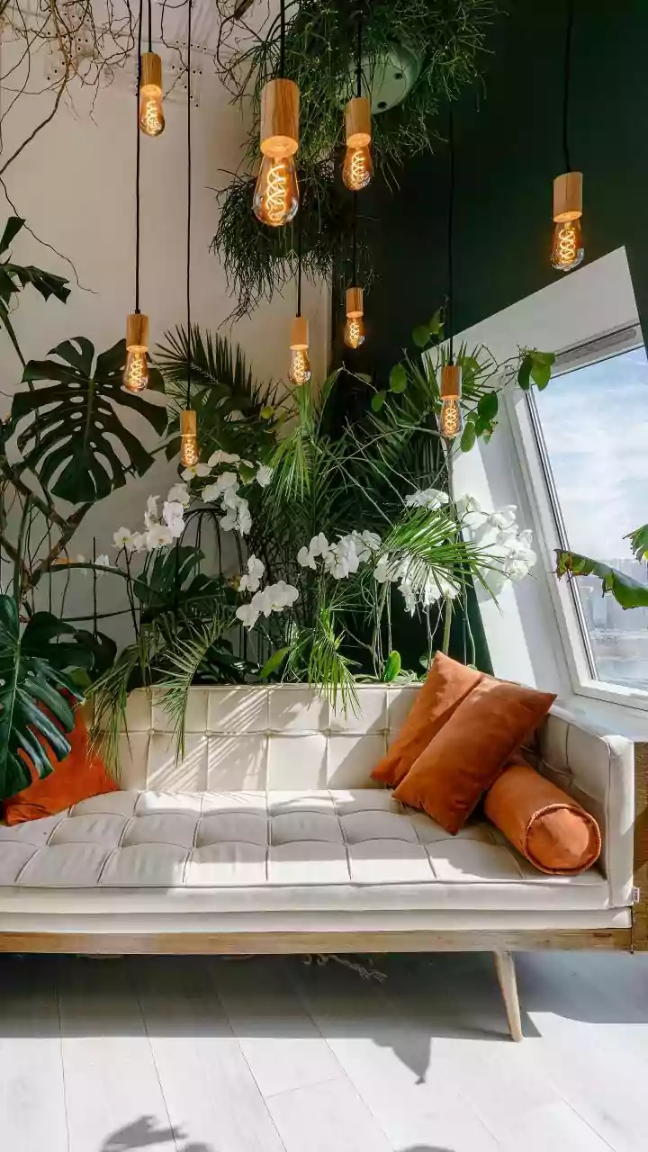 Sustainable Hosting Does Not Mean Boring Decor