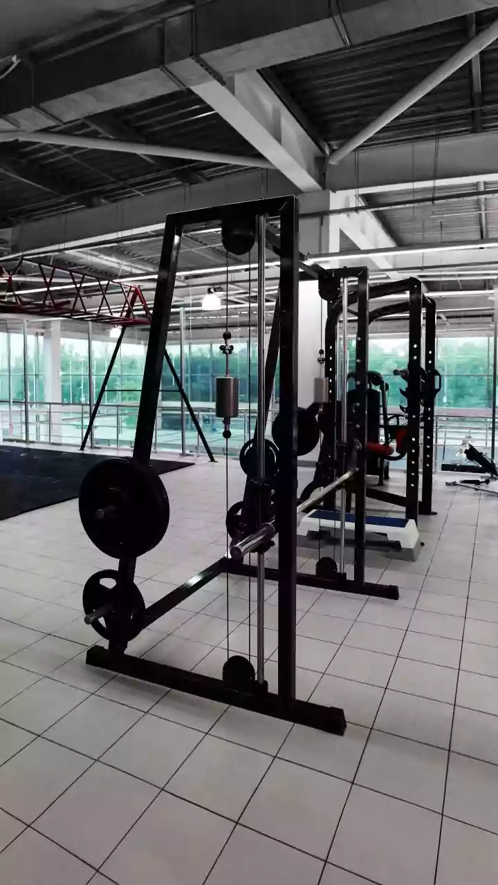 Build Aerobic Base Safely: Zone 2 Rowing Machine Training Protects Joints From Wear