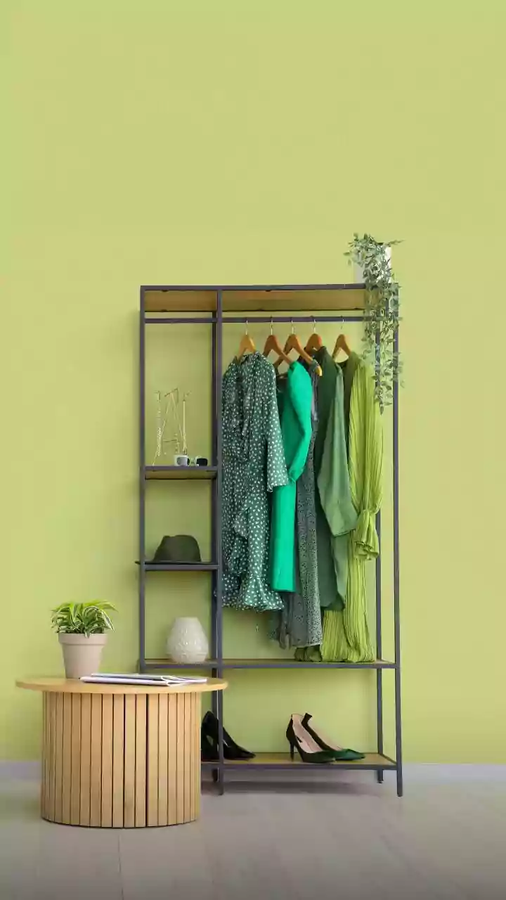 Function-Based Shopping Can Reduce Near-Duplicate Clothing Purchases