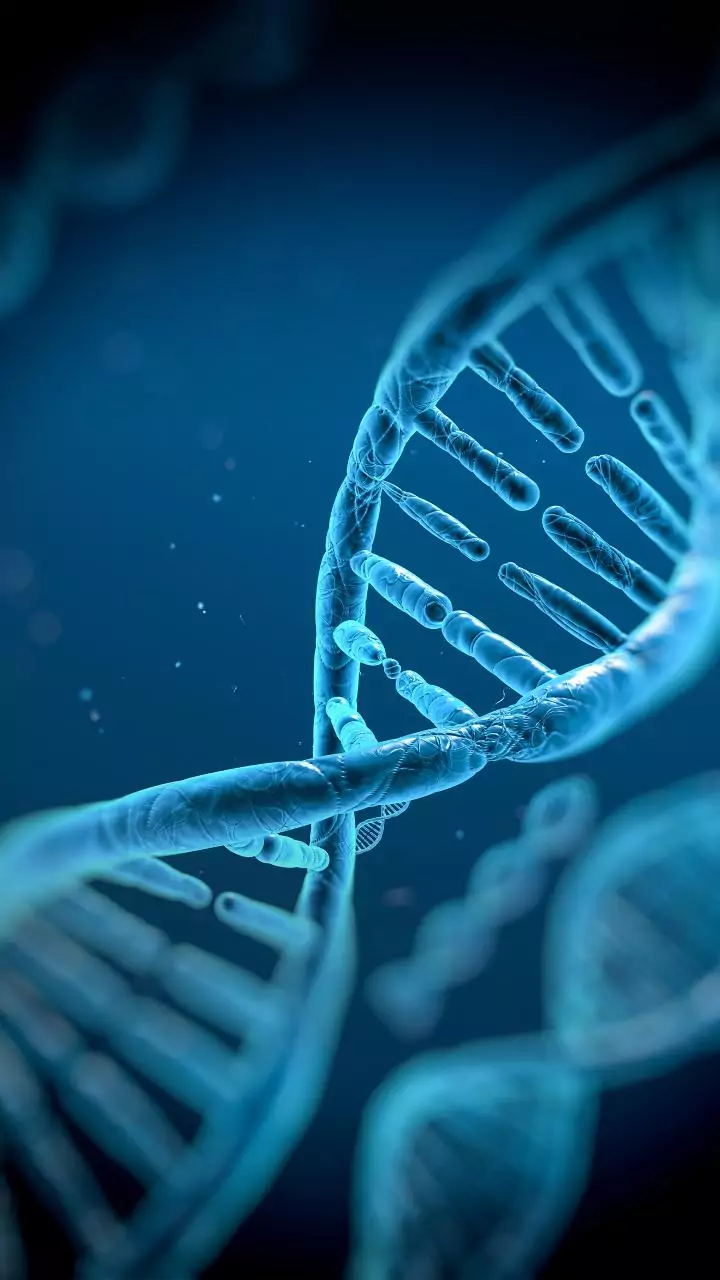 Stem cells can delay aging, says new study