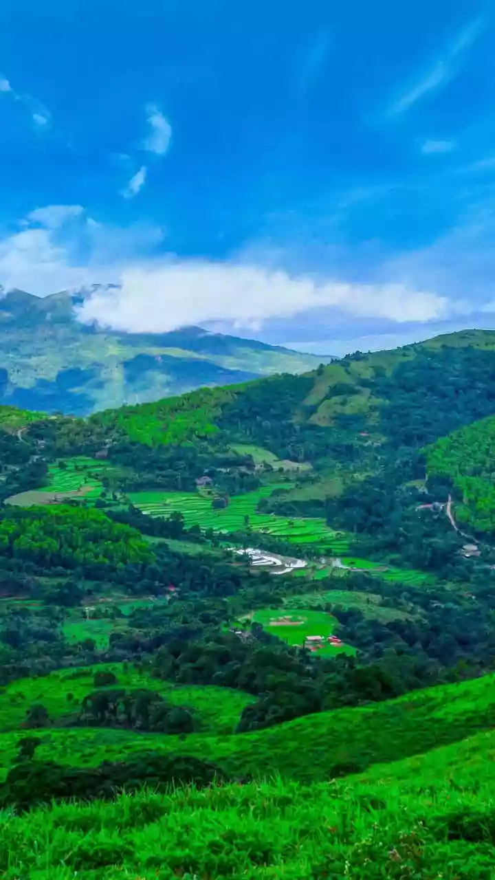 Mastering Diabetes: Your Guide to Smarter Blood Sugar Management in India