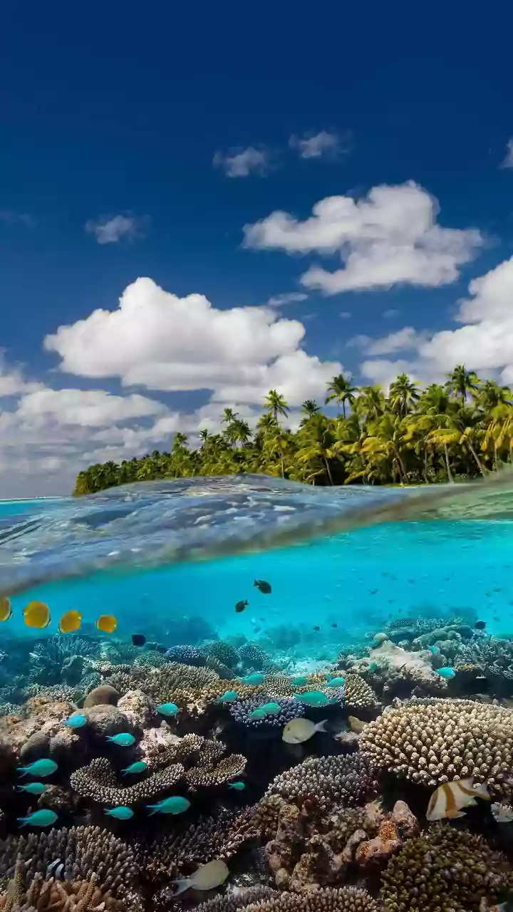 Conservation Experiences Let Guests See the Fragility behind Maldives Beauty