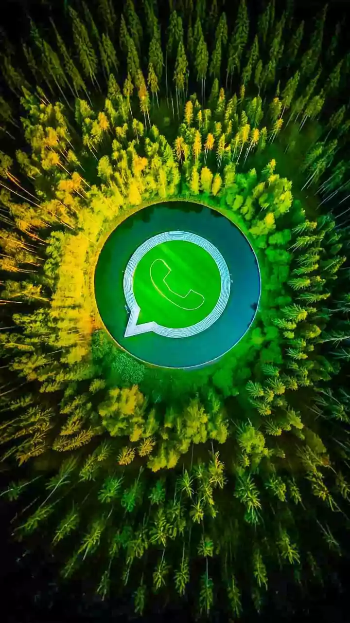 WhatsApp Plus: A Glimpse into the Paid Version and Why It's Likely Not for You
