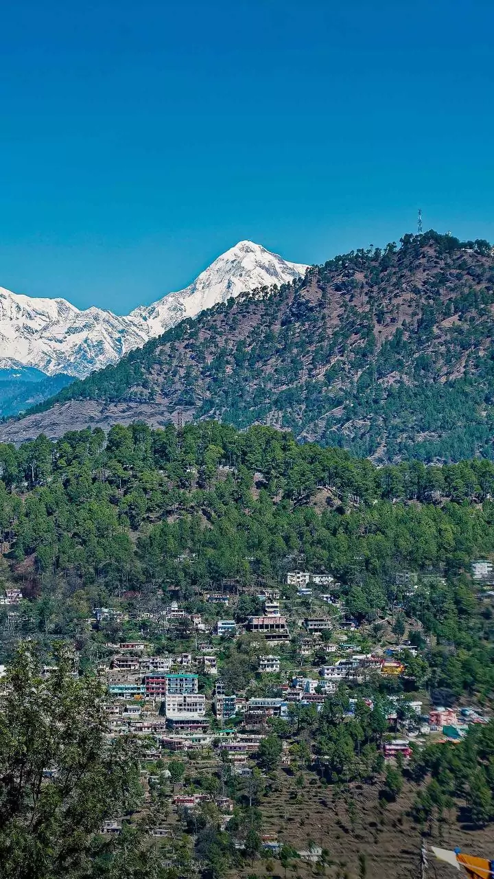 Uttarakhand: Snowfall, rain after long wait brings cheer to farmers