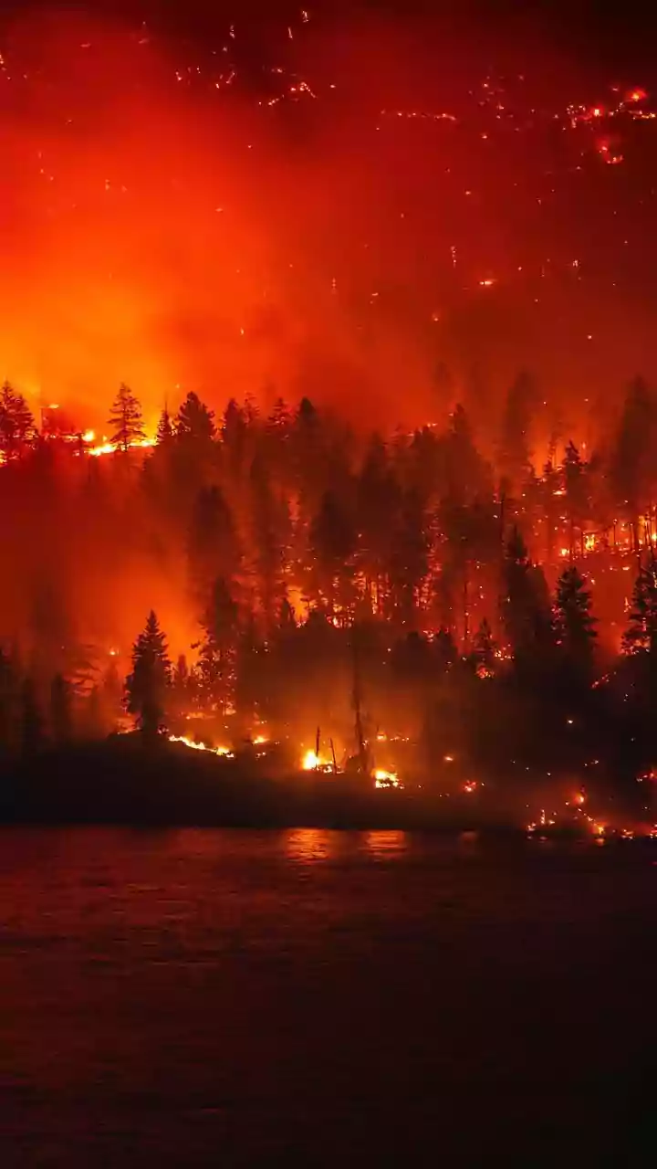 Chile Wildfire Death Toll Rises to 16: What Sparked the Deadly Blaze in Biobío and Ñuble?