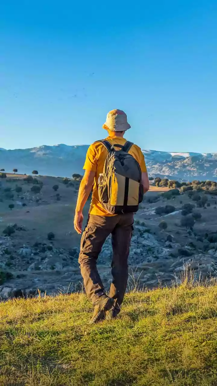 How 10 Minutes Of Early Sunlight Helps You Stay Alert Through Afternoon Hours