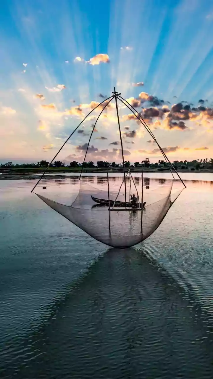 Ten Andhra fishermen held for intruding into Odisha's marine sanctuary