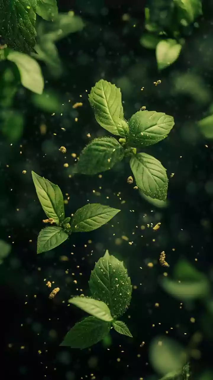 What PM2.5 is and why it enters winter lungs easily