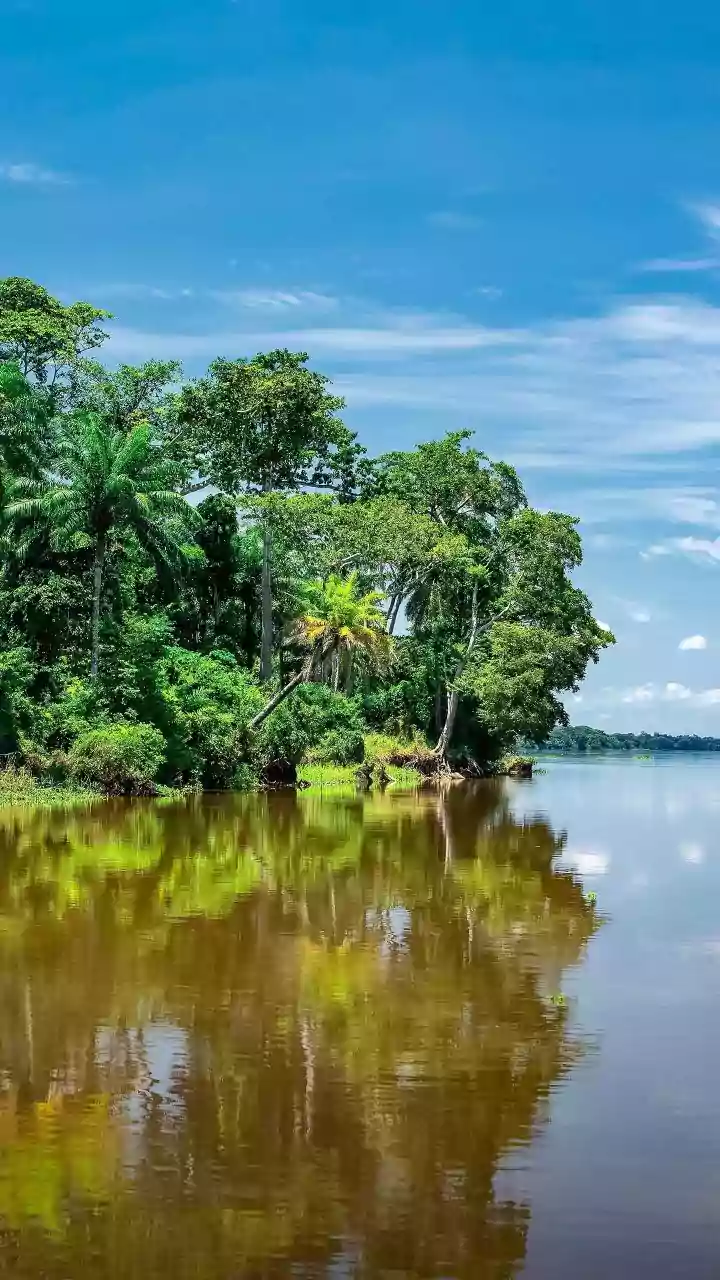 Offbeat Kerala Backwaters Munroe Island And Kumarakom Stays Beat Packed Alleppey