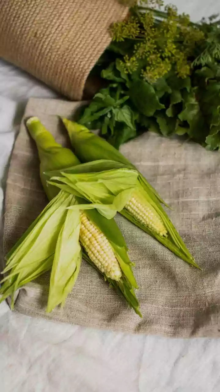 Eco-Conscious Feline Owners Switch To Plant-Based Corn Husk Materials