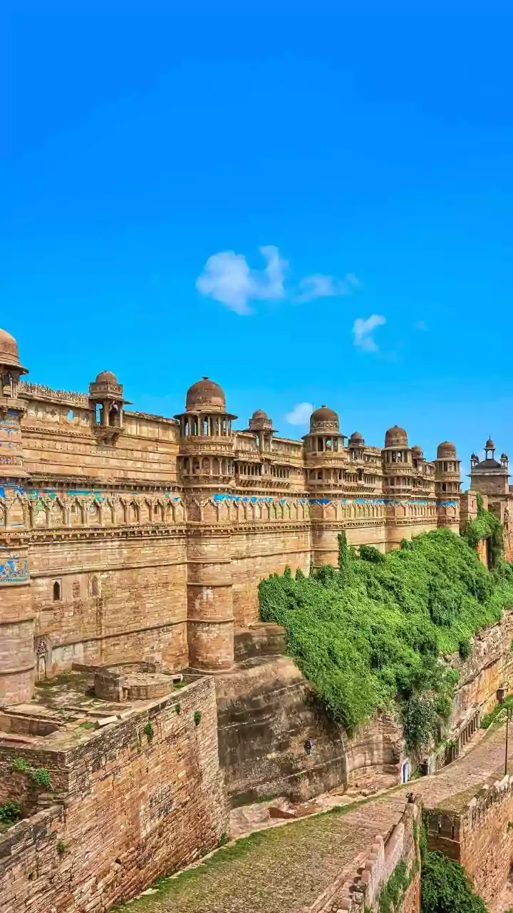 MP News: Man Dies After Suffering Heart Attack After Seeing His Son Badly Injured By Car-Borne Attackers For Standing On Road In Gwalior--VIDEO