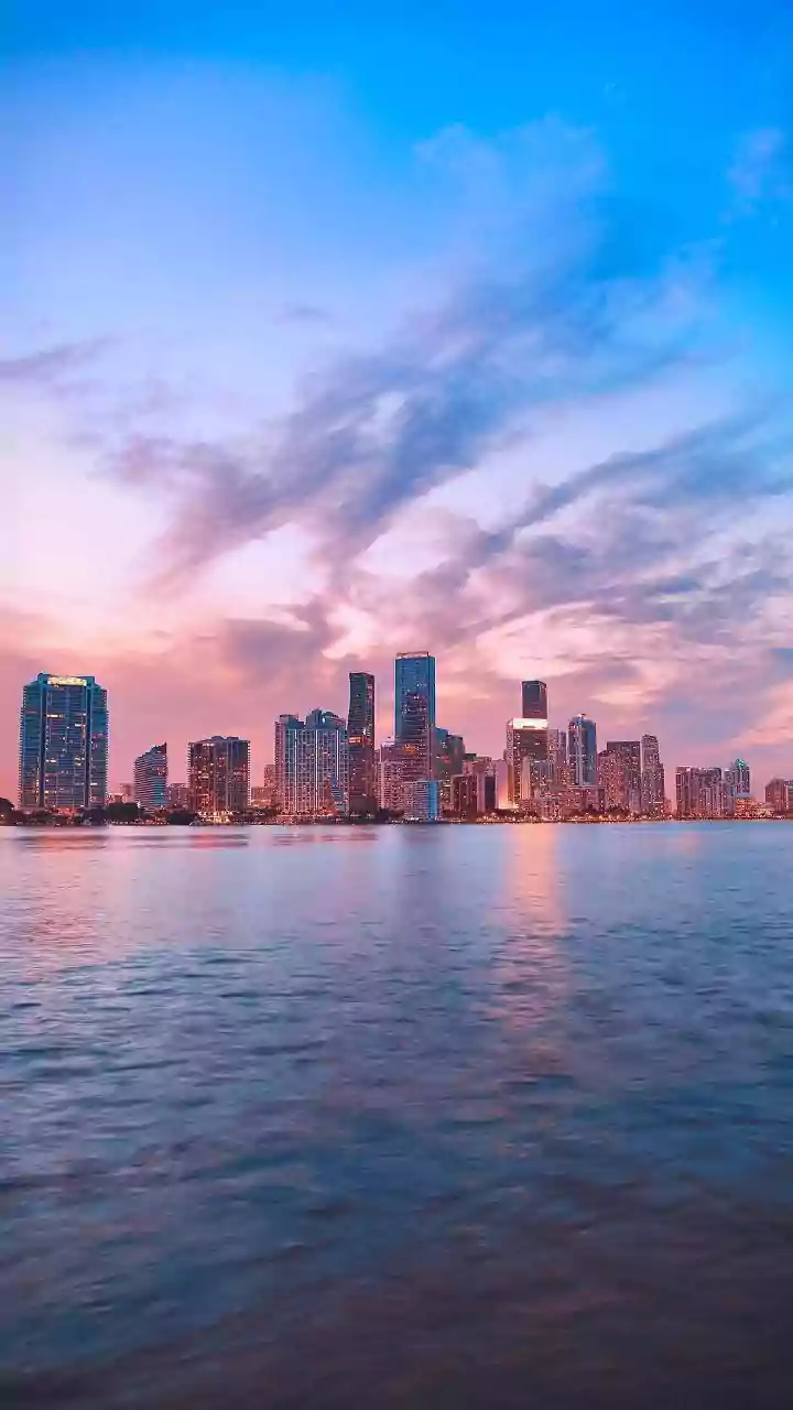 Trump-Zelenskyy Talks: What Was Agreed, What's Next?