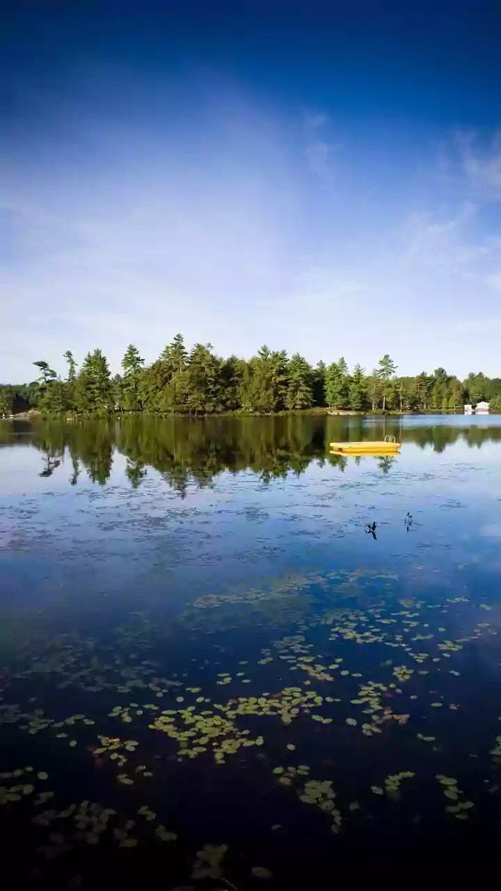 The New Chhattisgarh Pollen Study Puts Lake Sediments, Pollen Records and Long-Term Climate Clues on One Checklist