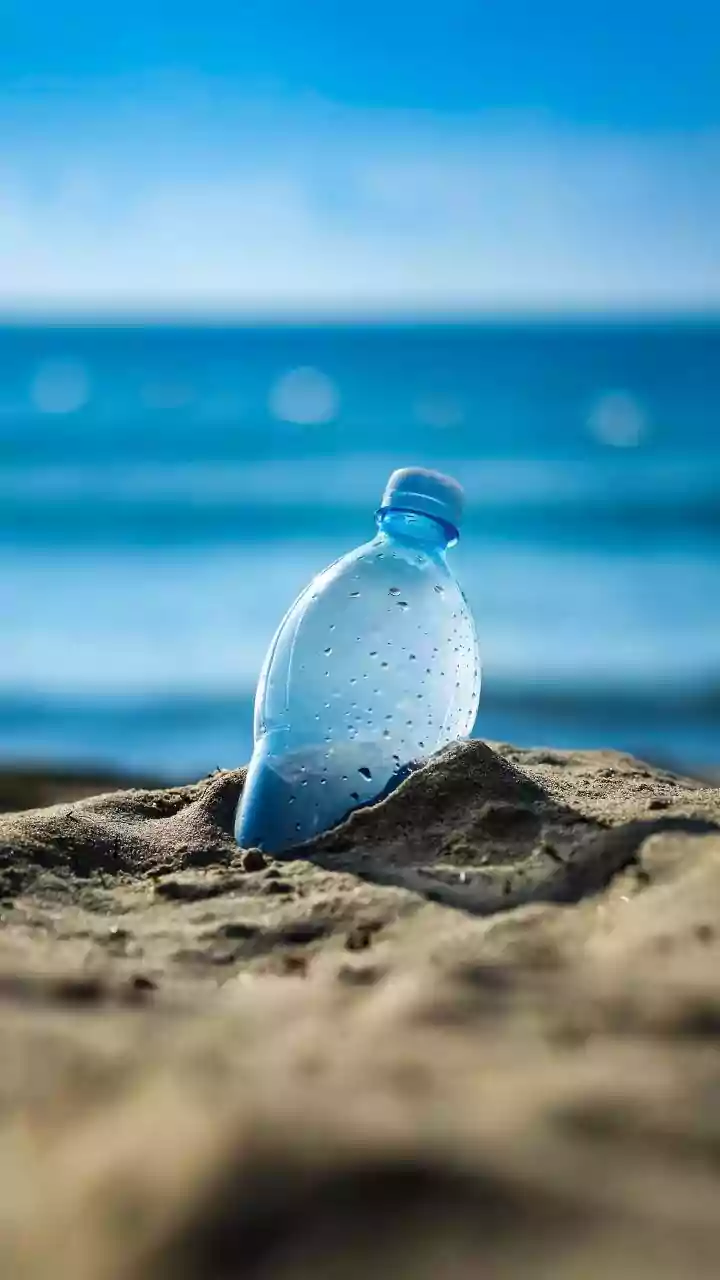 Scientists Investigate How Everyday Diets May Contribute To Microplastic Exposure