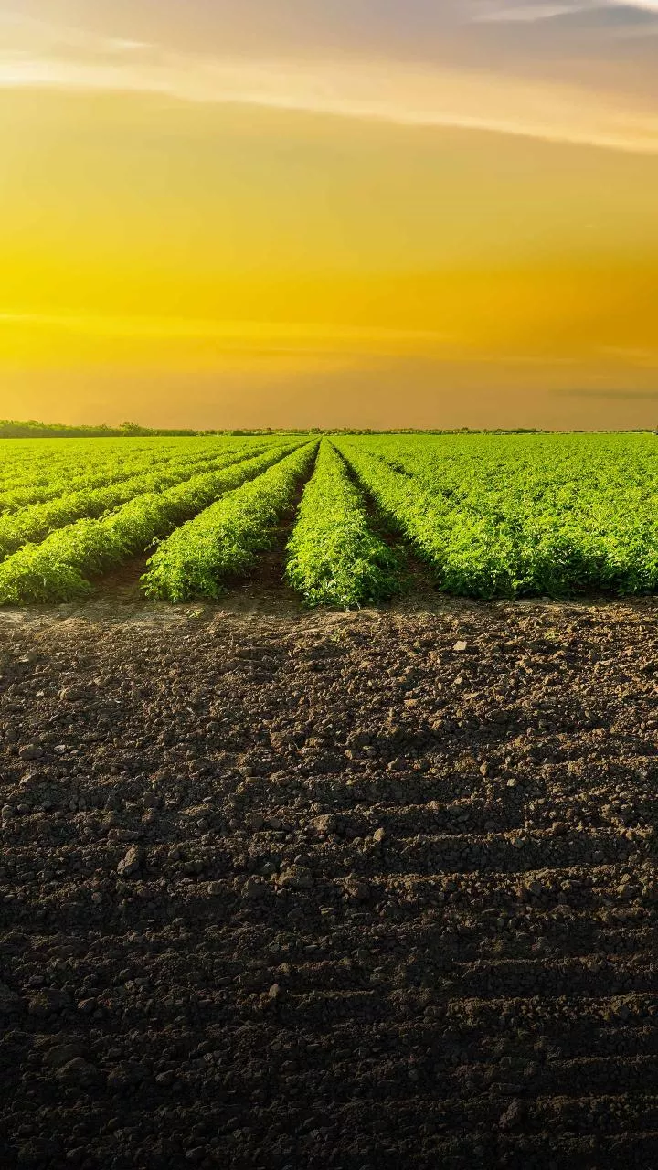 Crystal Crop Protection files for ₹600cr IPO