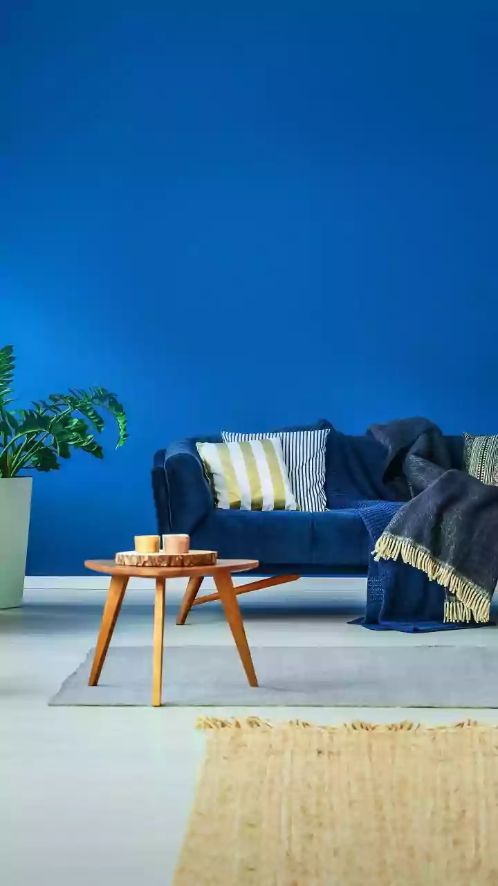 The 2026 Bold-Sofa Trend Puts Room Scale, Fabric Care and the Wider Colour Palette on One Checklist