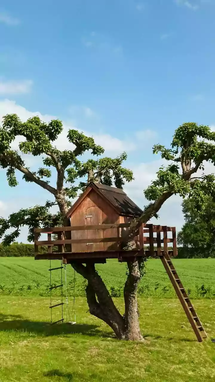 Book These Luxury Athirappilly Treehouse Stays For Monsoon Getaways