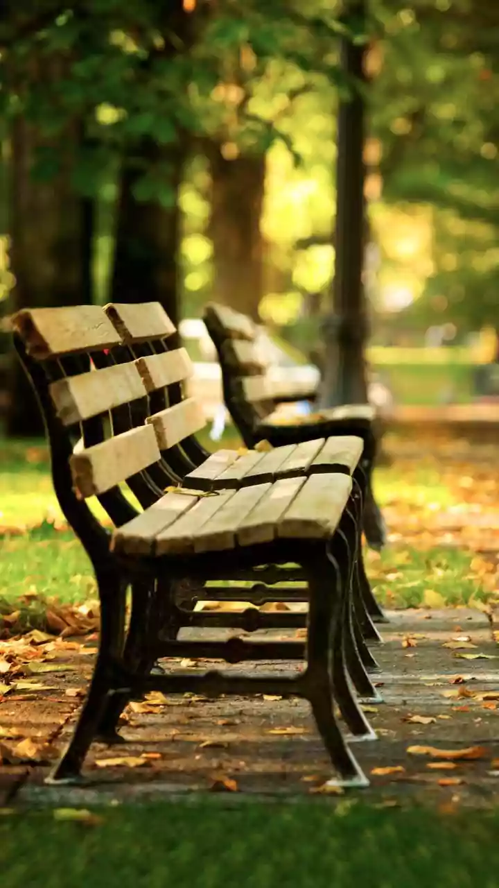A Route with Benches Can Support More Flexible Walking