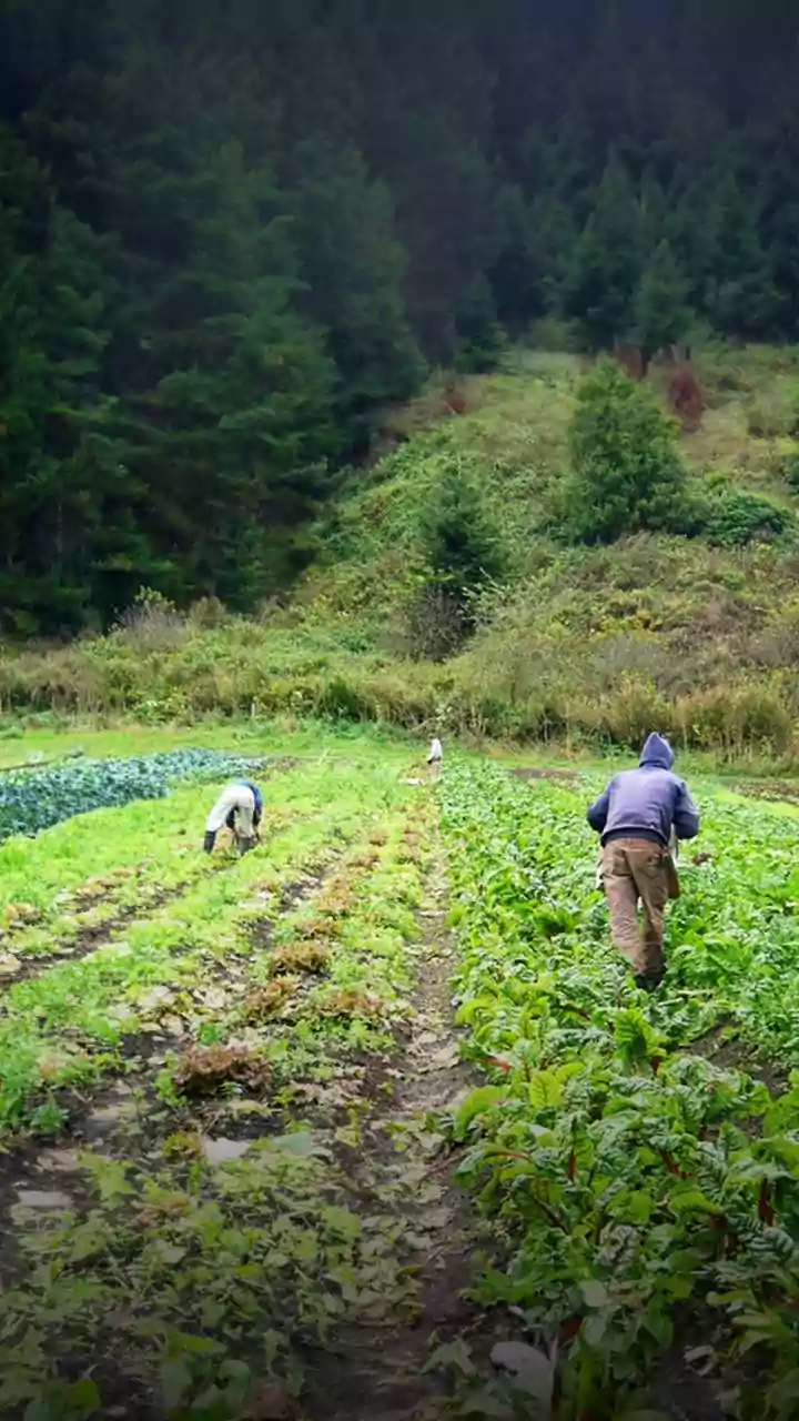 CM directs linking data of farmers practising natural farming with Him Parivar Portal