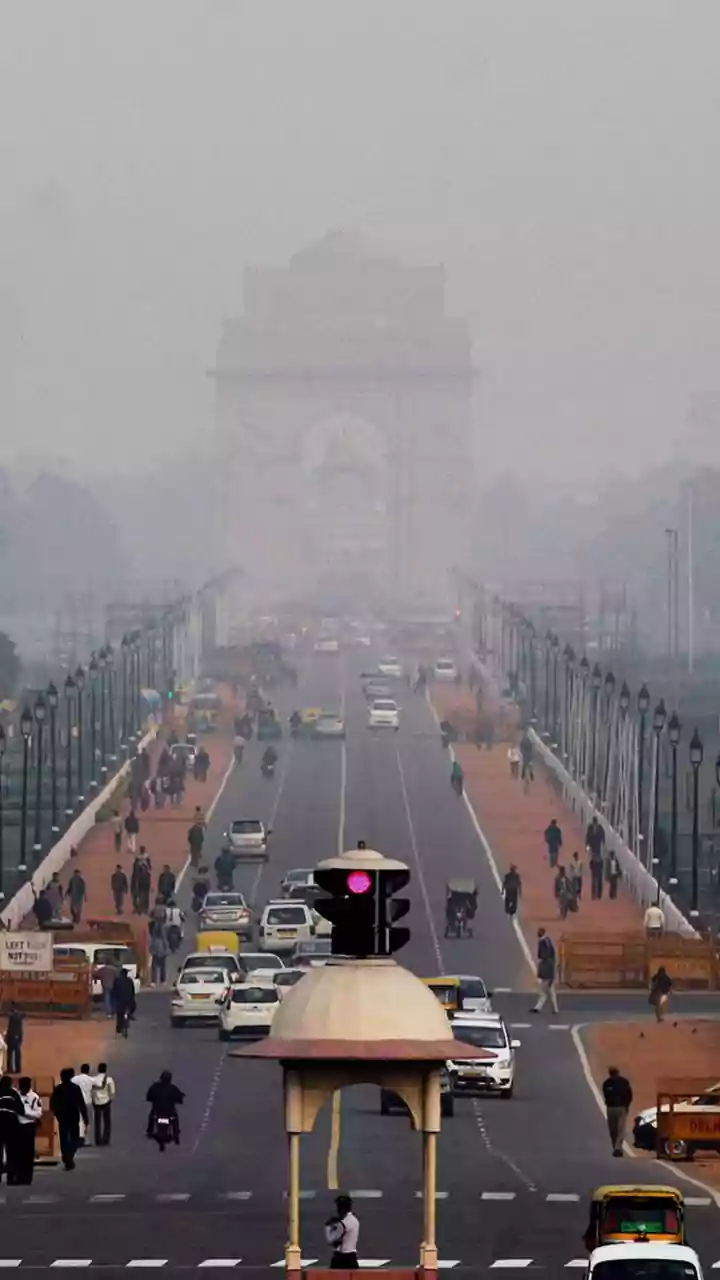 IMD's Split Update: Northeast Faces Heavy Rain, West India Sees Isolated Heat Pockets