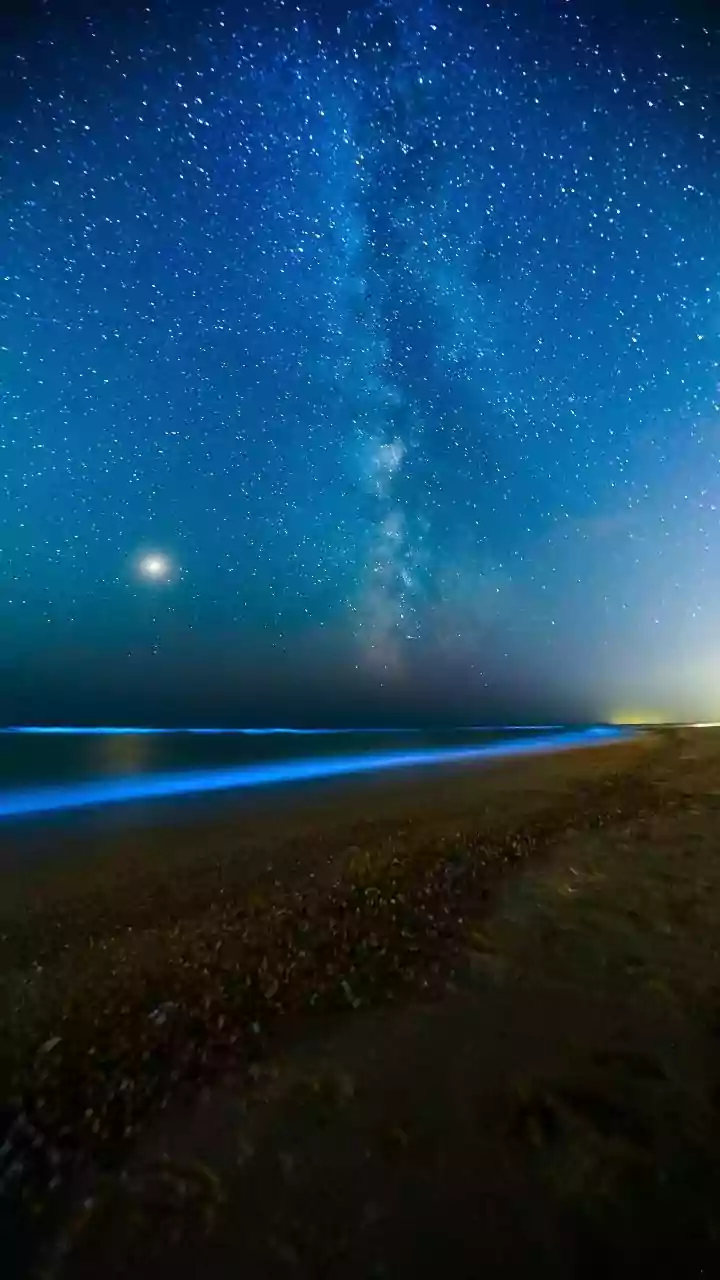Juhu Beach Glows At Night: What Is Bioluminescence? Can We Watch It With Naked Eyes? Is It Open For All?