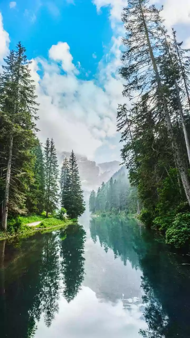 Mimi's Serene Escape: Unwinding Amidst Nature's Splendor