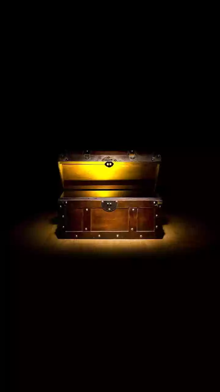 Old Wooden Trunks Become Elegant Minimal Living Room Furniture