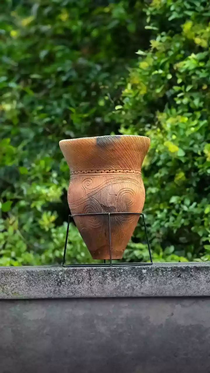 How Young Homeowners Are Swapping Plastic Bowls For Sustainable Terracotta Earthenware