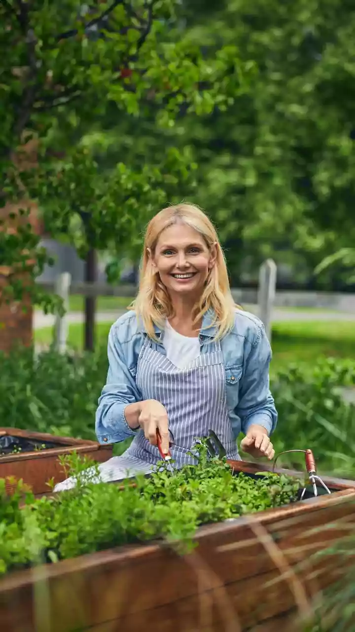 Why Urban Farming Commited Brands Target Modern Pet Parent Networks