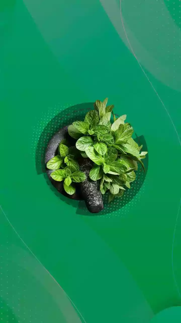 What is AI veganism? Why is it gaining ground in some quarters?