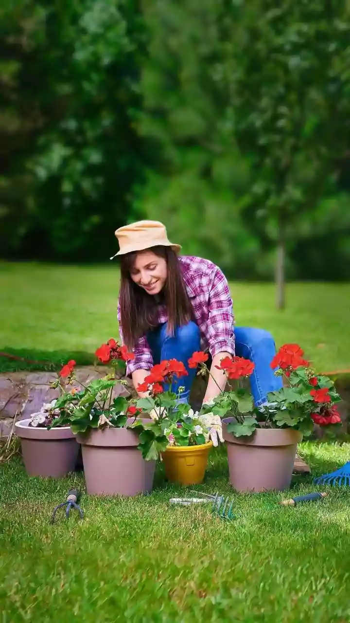 Coconut-Shell Gardening Needs Clean Materials, Drainage and Purpose