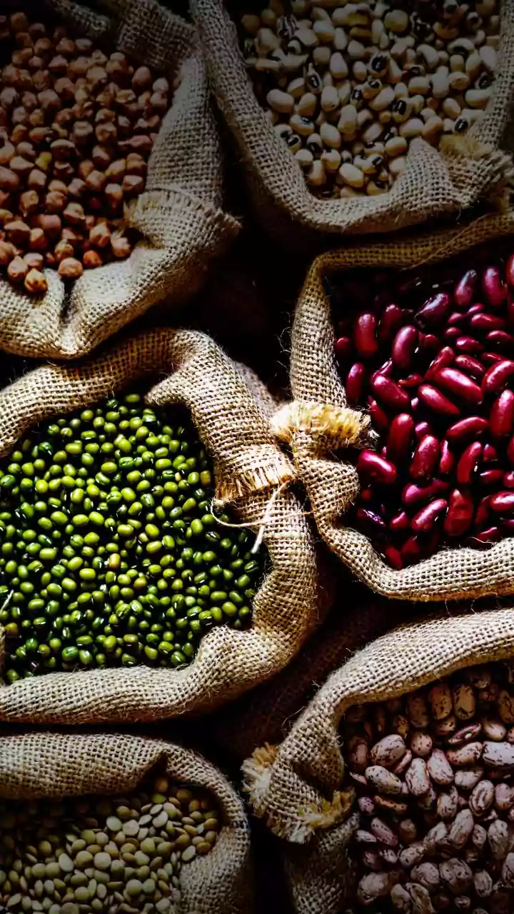 300 products hold huge potential for Indian exporters in Russia: Official