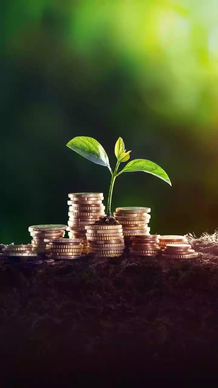 UTI Bond Treasure: An Unexpected Financial Discovery