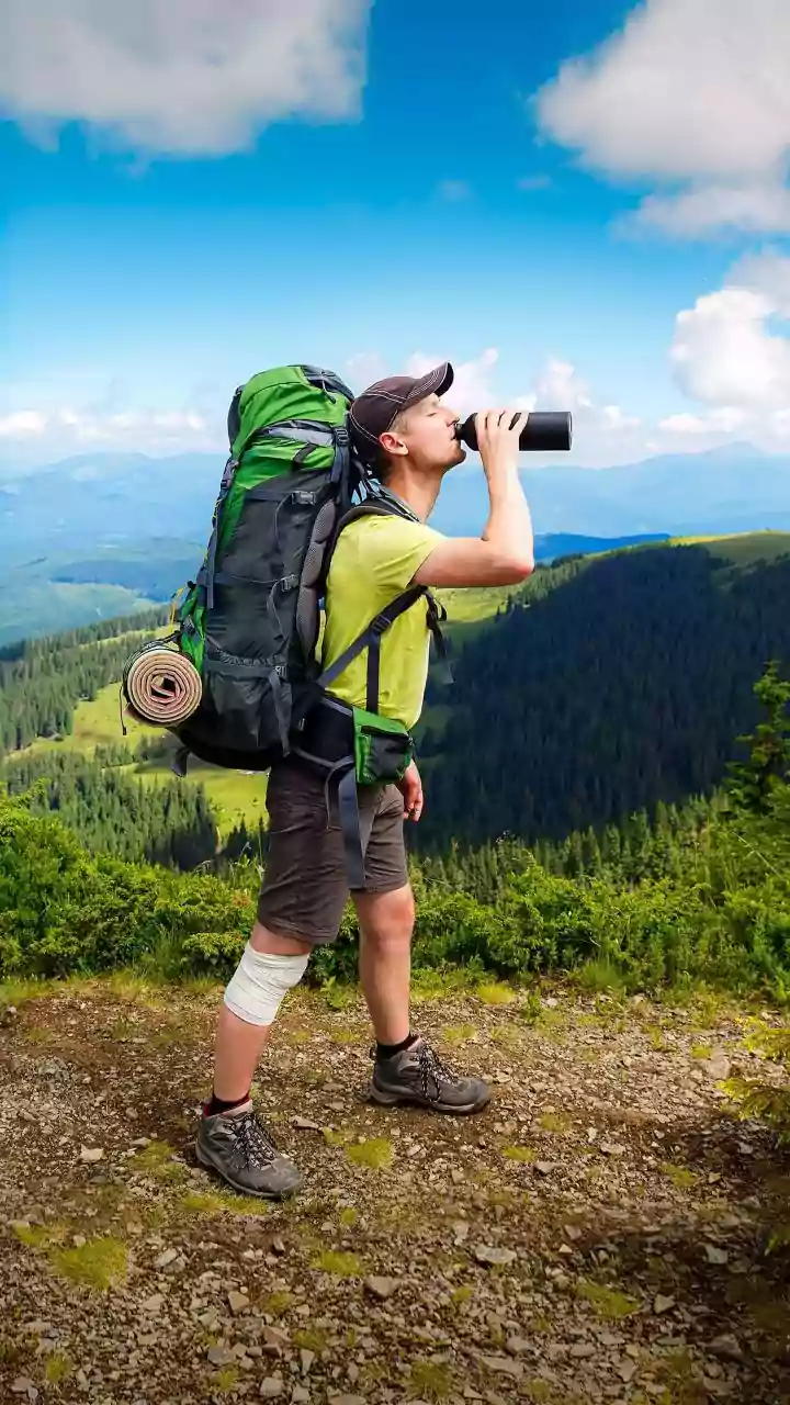 Post-Monsoon Forest Excursions: Essential Water Bottle Restrictions In Karnataka Reserves