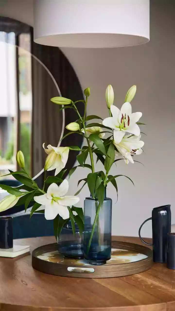 How To Adorn Living Rooms Cheaply Using Brass Lamps And Fresh Flowers