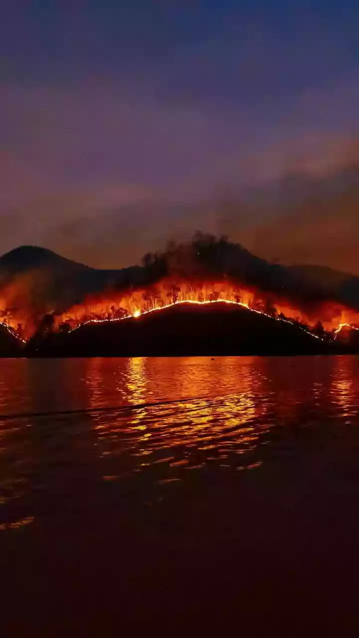 Wildfire Heat Can Build Thunderclouds That Spread Flames Further