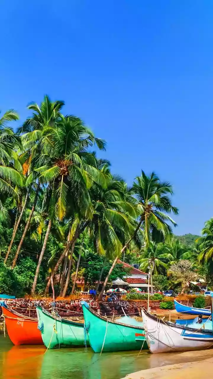 Solo Backpacking Guide: Discover Quiet South Goa Beaches Agonda And Galgibaga Today