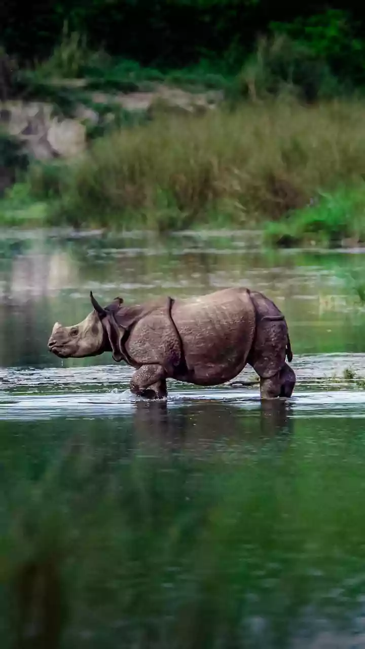 Nature Escapes In August Are Offering A Fresh Safari Experience
