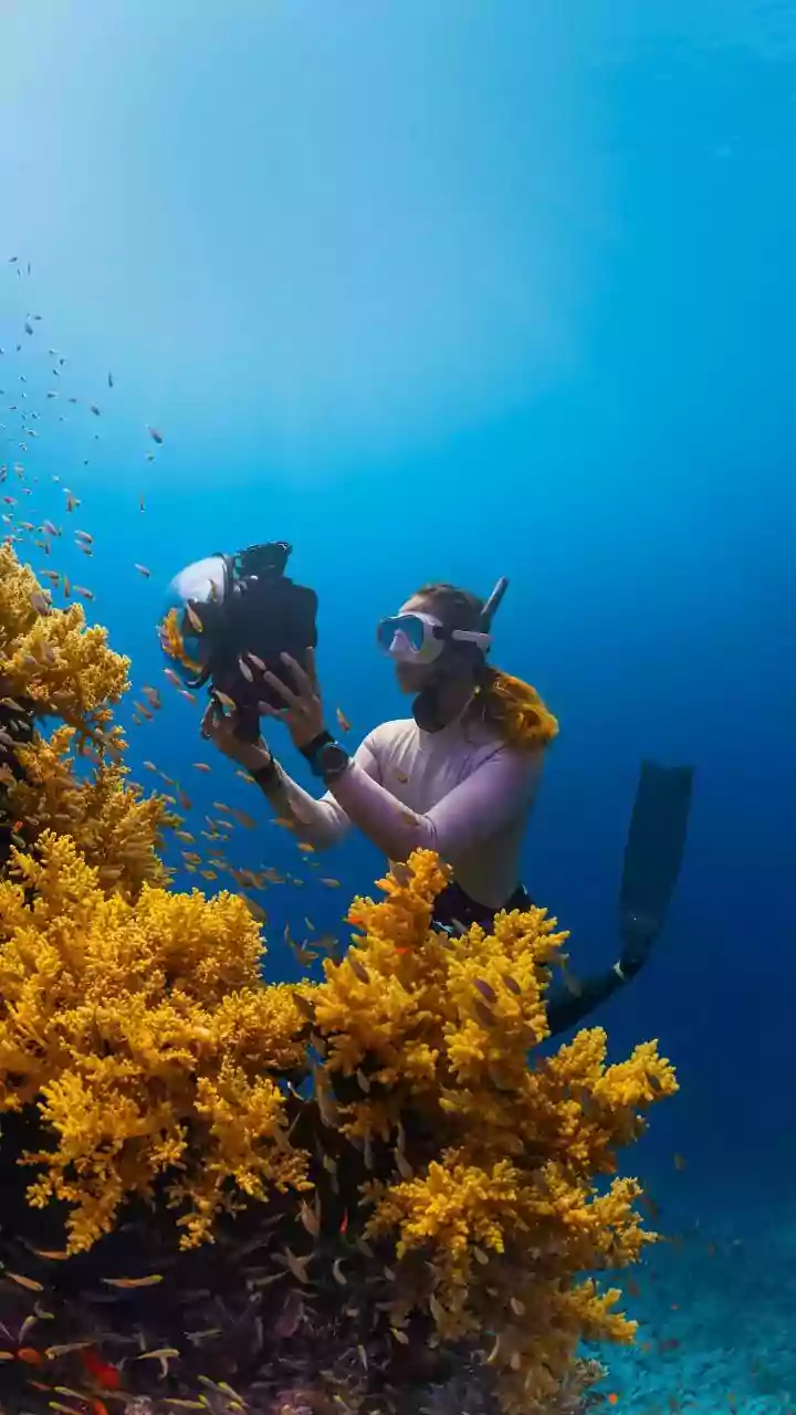 Sustainable Travel Protocols Guide Marine Tourism In Lakshadweep To Prevent Coral Reef Degradation