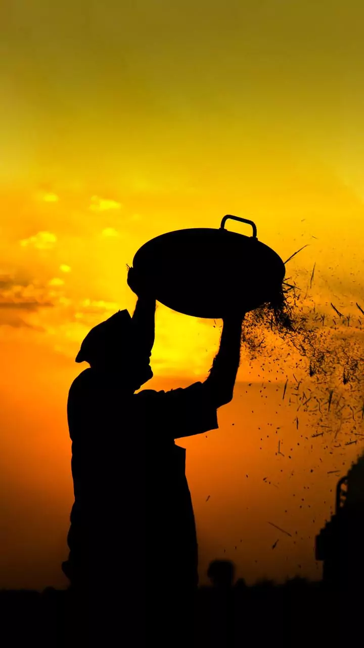 MGNREGA workers to get wages within 7 days, UP govt tells Assembly