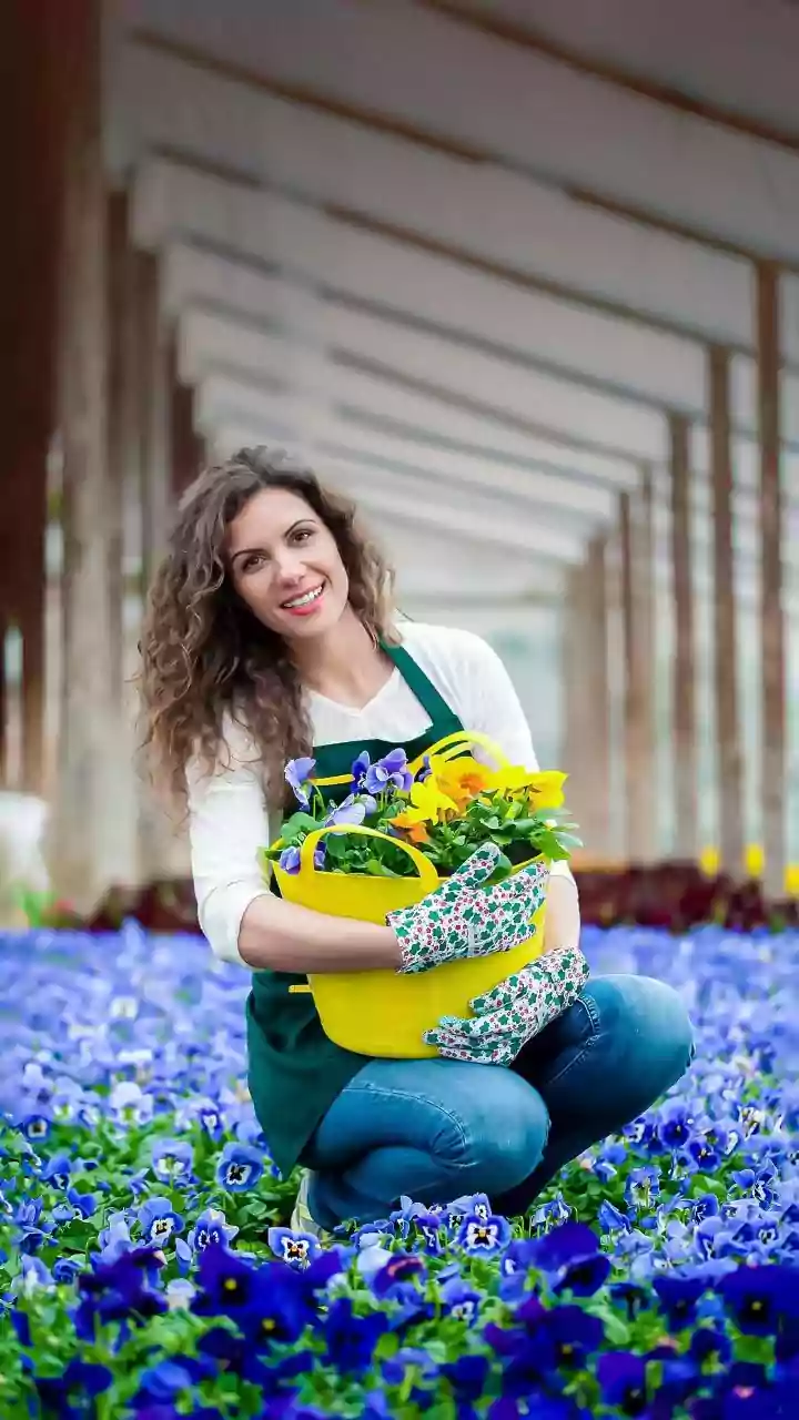 Floriculture Brings Economic Independence to Chhattisgarh Women