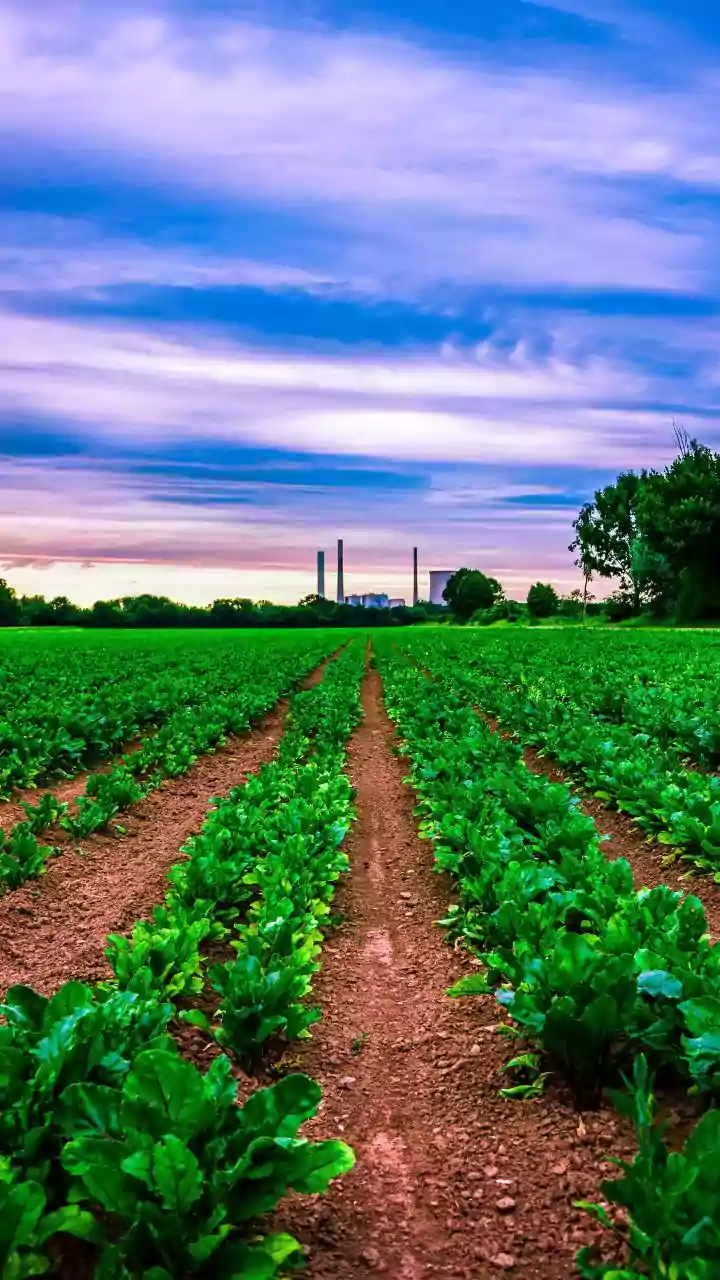 Government of Chhattisgarh and GAIL sign MoU to develop a gas-based fertilizer project in Chhattisgarh