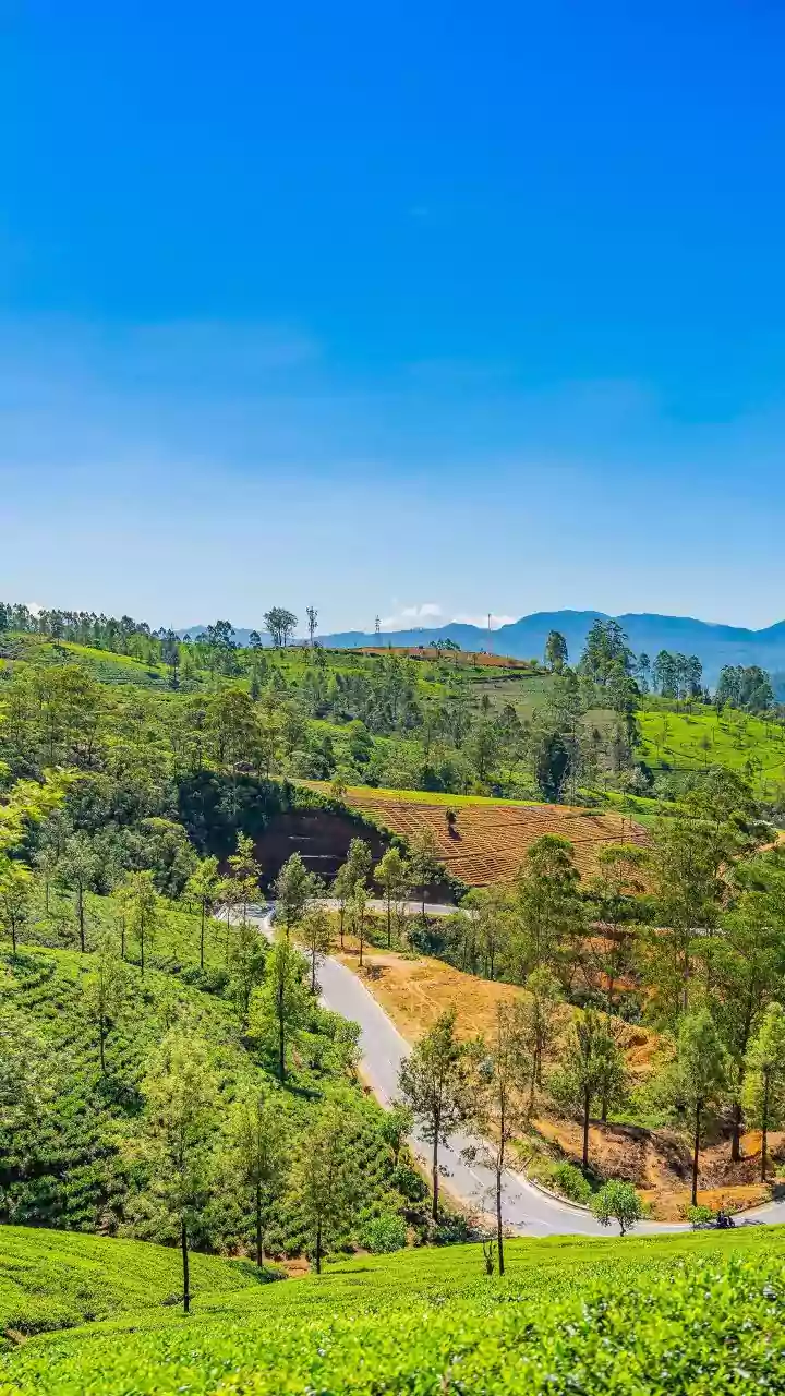 Sri Lanka Train Journeys Kandy To Ella Becomes Top Indian Budget Pick