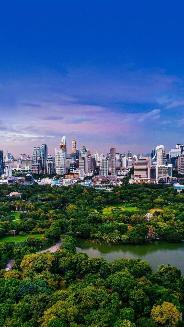 Why Parks Matter When Cities Become Hotter, Denser and More Stressful