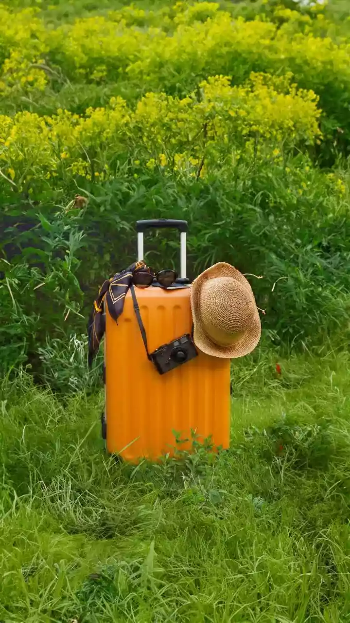How eco-friendly bags make your travel greener