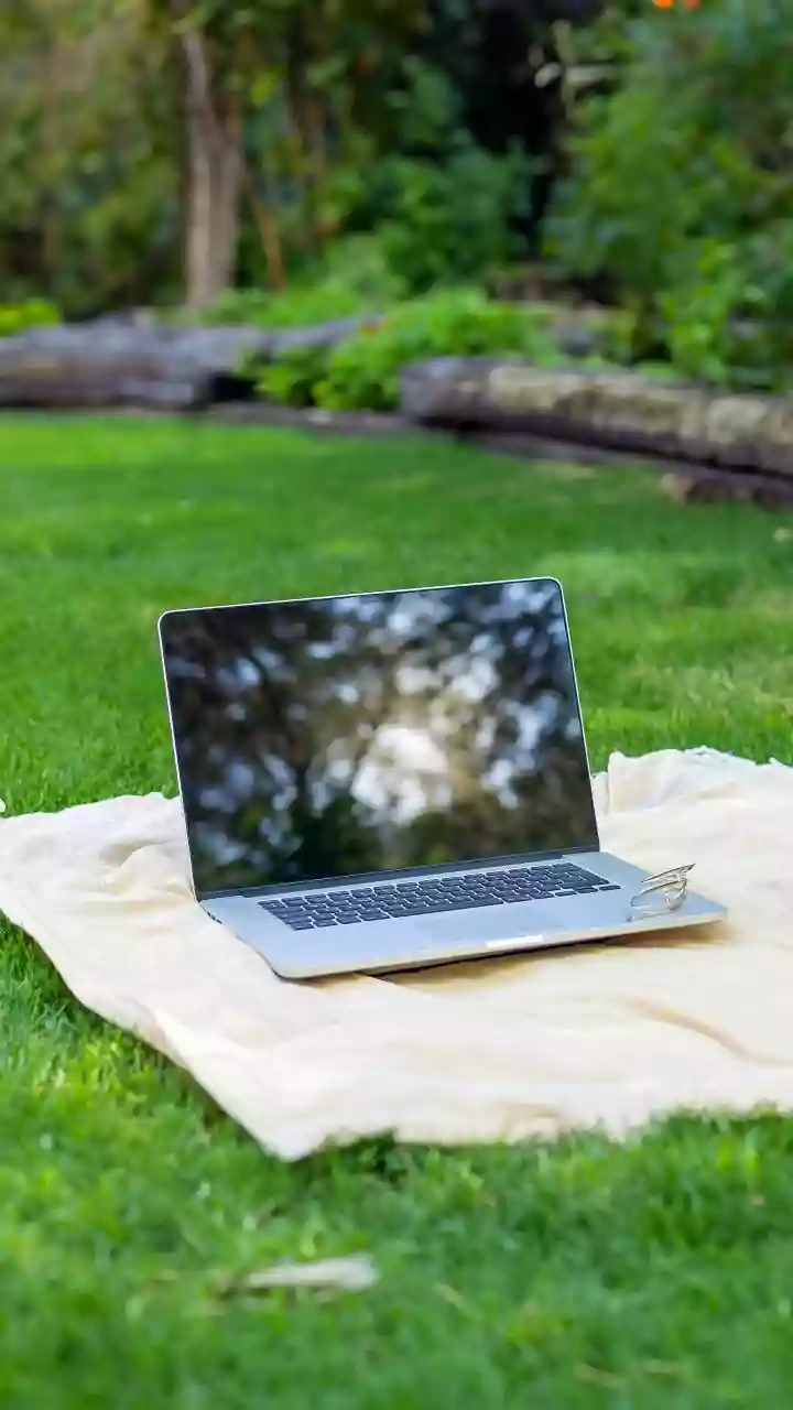 How Adding Natural Greenery Near Laptops Reduces Digital Fatigue In Compact Work-From-Home Settings