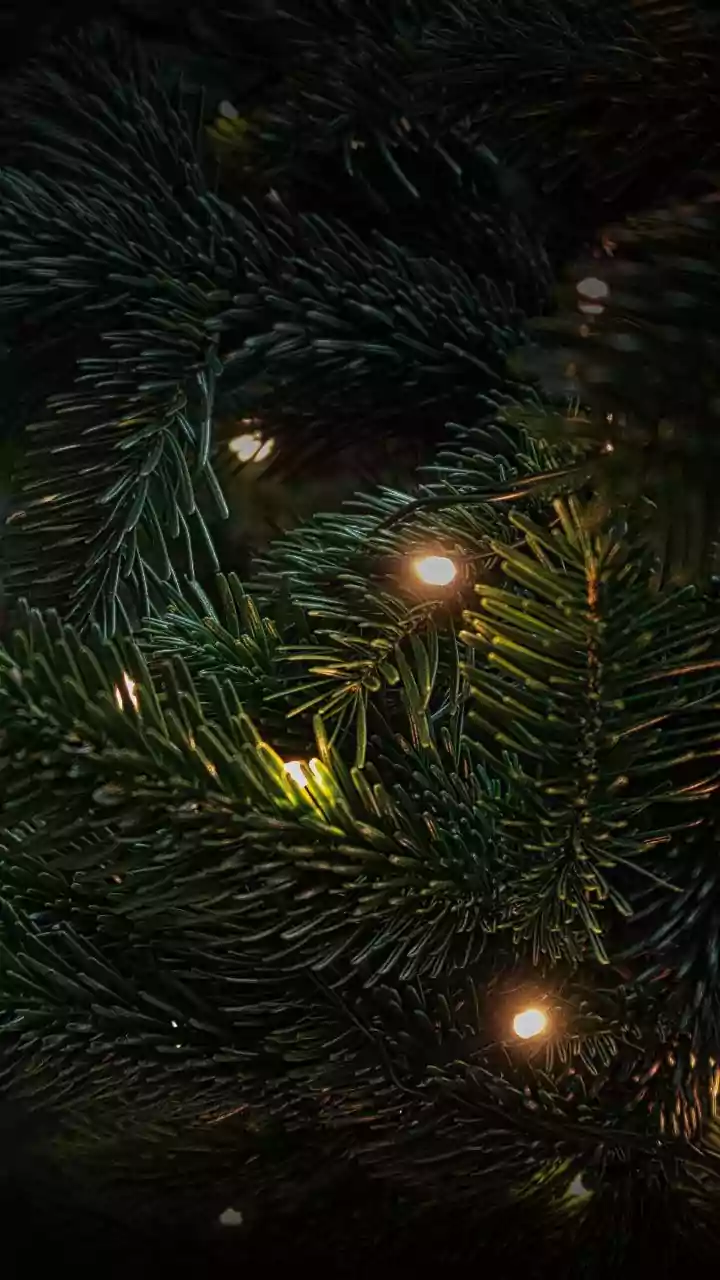 Sustainable Festive Lighting Shifts From Plastic Decor To Copper LED Strings And Brass