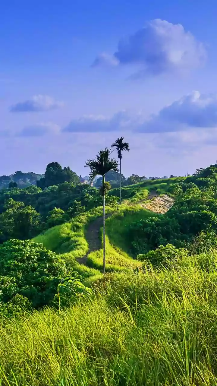 Nature Trails Around Indian Cities Look Their Best During The Rainy Season