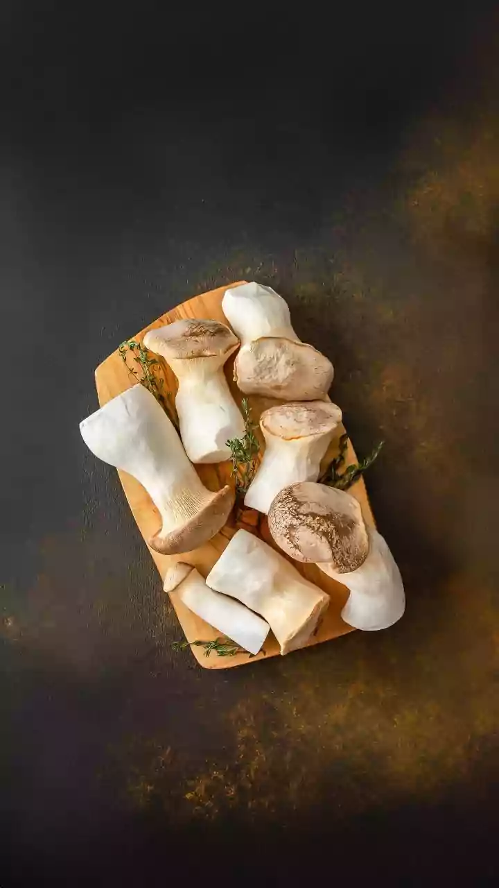 Mushroom Cultivation Breakthroughs: Growing Protein From Urban Coffee Waste